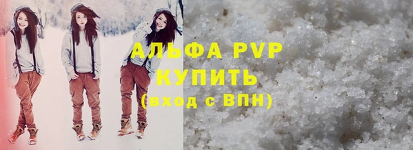 индика Нея