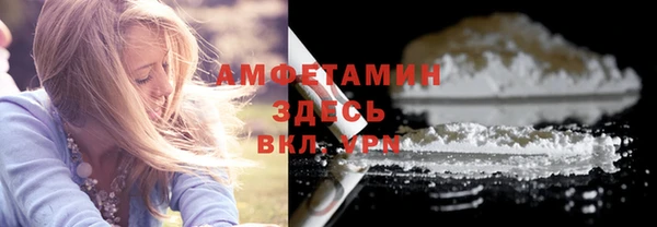 индика Нея