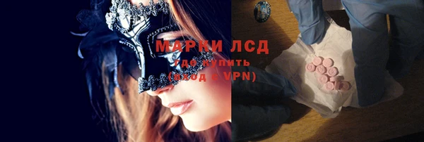 прущие грибы Видное
