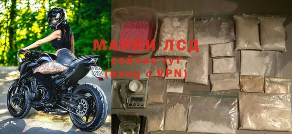 индика Нея