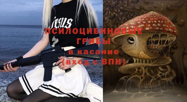 mix Вяземский