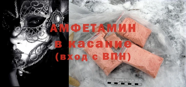 индика Нея