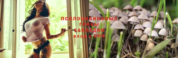 индика Нея