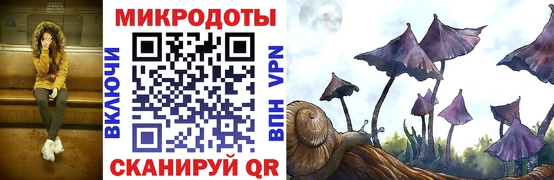 Галлюциногенные грибы ЛСД Пыталово