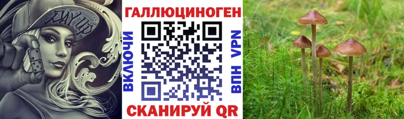 Псилоцибиновые грибы Psilocybine cubensis kraken как зайти Пыталово